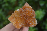 Natural Mixed Spirit Quartz Specimens  x 6 From Boekenhouthoek, South Africa - Toprock Gemstones and Minerals