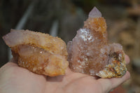 Natural Mixed Spirit Quartz Specimens  x 6 From Boekenhouthoek, South Africa - Toprock Gemstones and Minerals