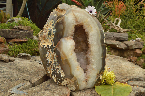 Polished Extra Large Agate Geode With A Crystalline Centre  x 1 From Maintirano, Madagascar - TopRock