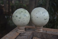 Polished Spotted Leopard Stone Spheres  x 2 From Zimbabwe - Toprock Gemstones and Minerals