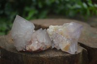 Natural Single Spirit Cactus Quartz Crystals  x 24 From Boekenhouthoek, South Africa - Toprock Gemstones and Minerals
