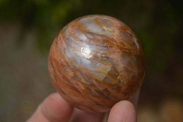 Polished Flashy Peach Moonstone Spheres  x 6 From Madagascar