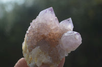 Natural Mixed Spirit Quartz Specimens  x 6 From Boekenhouthoek, South Africa - Toprock Gemstones and Minerals