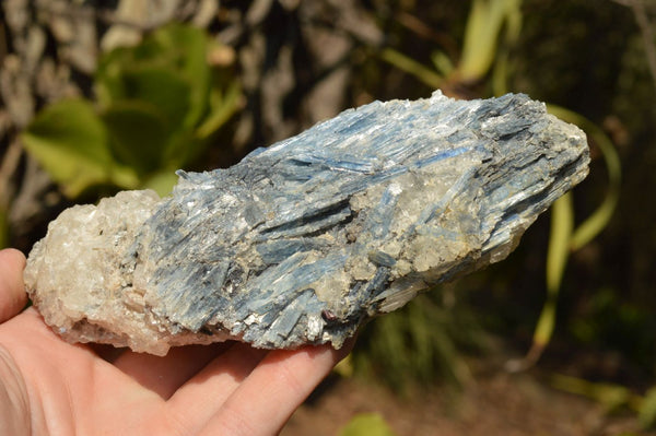 Natural Blue Kyanite Crystals In Matrix Specimens  x 6 From Zimbabwe - TopRock