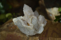 Natural Spirit Amethyst Spirit Quartz Clusters  x 12 From Southern Africa - Toprock Gemstones and Minerals