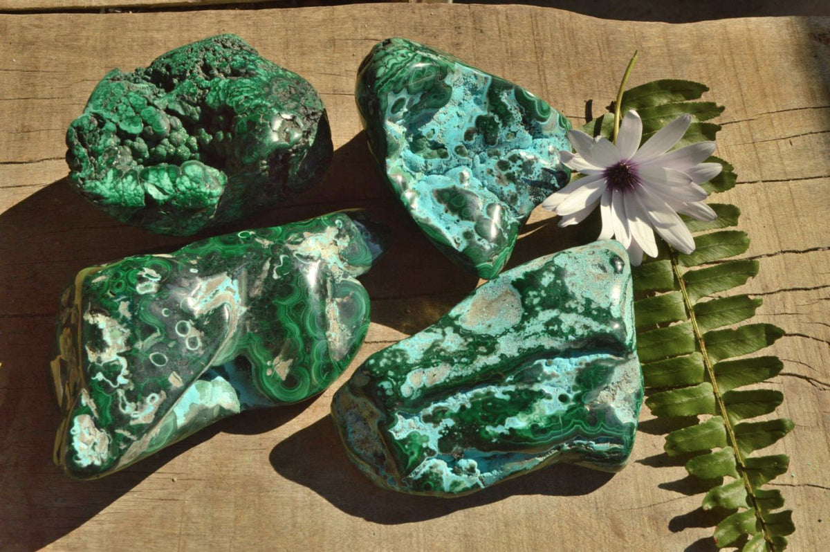 Polished Malacholla Free Forms With Stunning Flower Patterns & Crystalline Vugs x 4 From Congo - TopRock