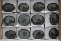 Polished Blue & Gold Labradorite Palm Stones  x 12 From Tulear, Madagascar - Toprock Gemstones and Minerals