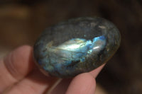 Polished Labradorite Palm Stones  x 20 From Tulear, Madagascar - Toprock Gemstones and Minerals