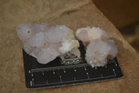 Natural Pale Lilac Spirit Quartz Clusters  x 20 From Boekenhouthoek, South Africa - Toprock Gemstones and Minerals