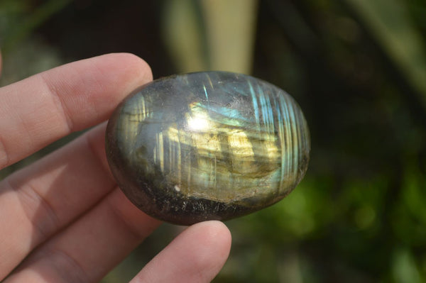 Polished Blue & Gold Labradorite Palm Stones  x 12 From Tulear, Madagascar - Toprock Gemstones and Minerals 