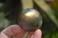 Polished Blue & Gold Labradorite Palm Stones  x 12 From Tulear, Madagascar - Toprock Gemstones and Minerals