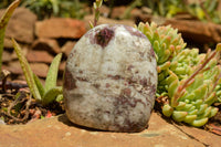 Polished Rubellite Pink Tourmaline Standing Free Forms  x 3 From Madagascar - TopRock