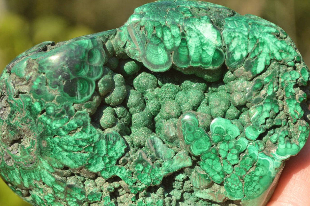 Polished Malacholla Free Forms With Stunning Flower Patterns & Crystalline Vugs x 4 From Congo - TopRock