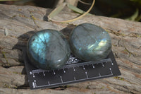 Polished Labradorite Palm Stones  x 20 From Tulear, Madagascar - Toprock Gemstones and Minerals