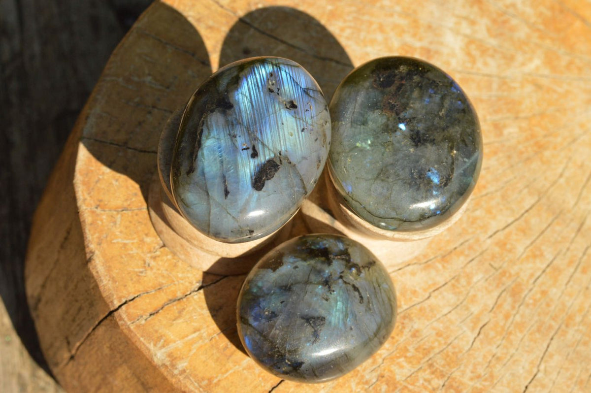 Polished Flashy Labradorite Palm Stones x 20 From Tulear, Madagascar - TopRock