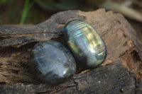 Polished Blue & Gold Labradorite Palm Stones  x 12 From Tulear, Madagascar - Toprock Gemstones and Minerals