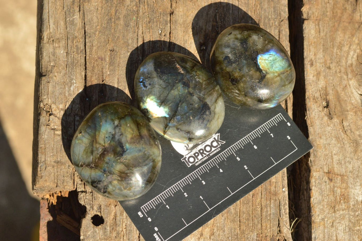Polished Flashy Labradorite Palm Stones x 20 From Tulear, Madagascar - TopRock