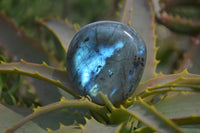 Polished Labradorite Palm Stones  x 20 From Tulear, Madagascar - Toprock Gemstones and Minerals