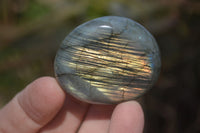 Polished Labradorite Palm Stones  x 20 From Tulear, Madagascar - Toprock Gemstones and Minerals