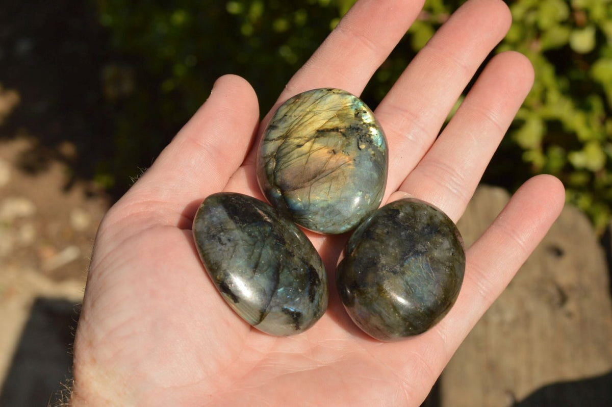 Polished Flashy Labradorite Palm Stones x 20 From Tulear, Madagascar - TopRock