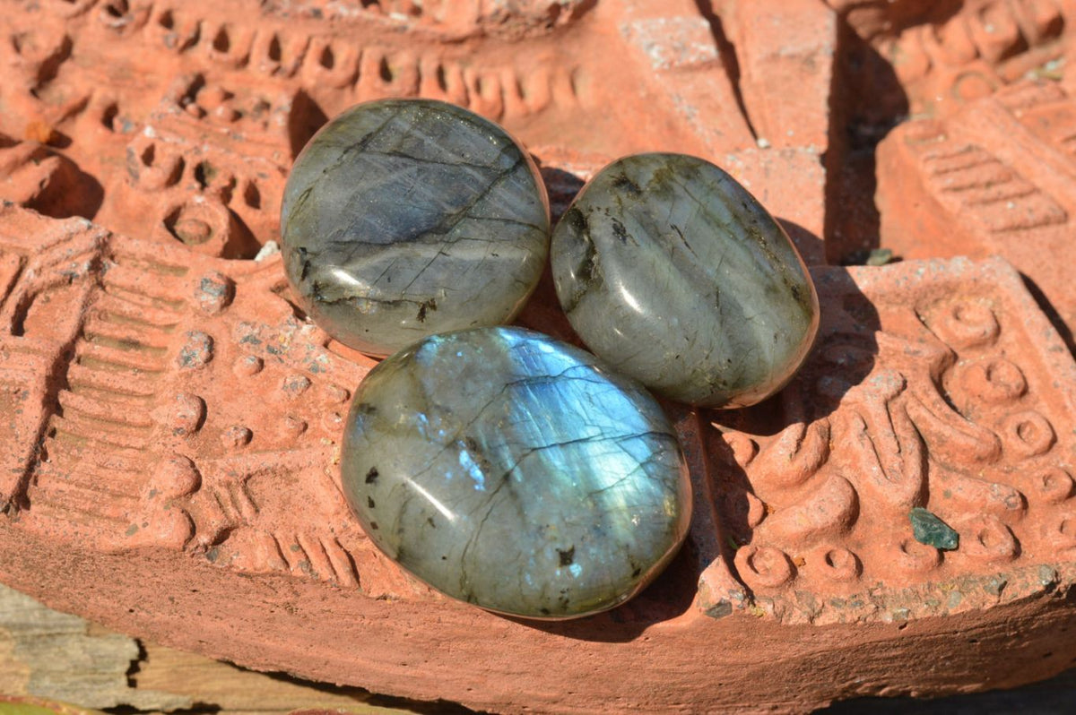 Polished Flashy Labradorite Palm Stones x 20 From Tulear, Madagascar - TopRock