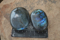Polished Blue & Gold Labradorite Palm Stones  x 12 From Tulear, Madagascar - Toprock Gemstones and Minerals