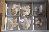 Natural Spirit Amethyst Quartz Clusters x 6 From Boekenhouthoek, South Africa - Toprock Gemstones and Minerals