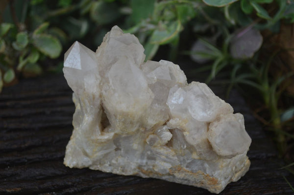 Natural Cascading White Phantom Quartz Clusters  x 3 From Luena, Congo - Toprock Gemstones and Minerals 