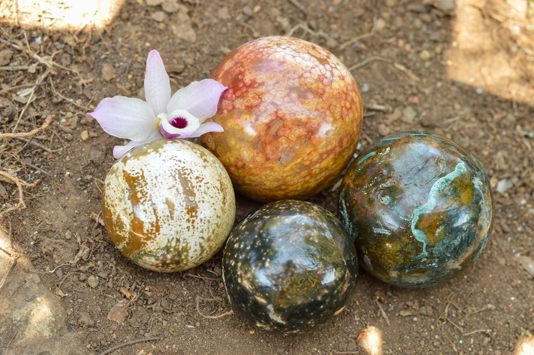 Polished Gorgeous Selection Of Orbicular Ocean Jasper Spheres x 4 From Madagascar - TopRock