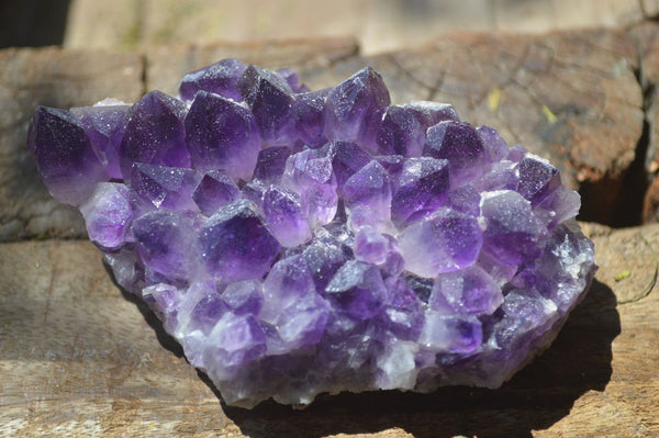 Natural Medium Dark Purple Amethyst Clusters - Sold per 1 kg (6 clusters per tray) - From Mapatizya, Zambia - TopRock
