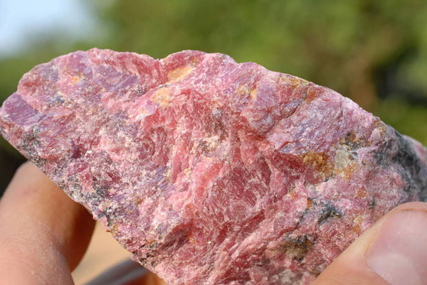 Natural Cobbed Larger Piece of Rhodonite Rough x 6 From Zimbabwe - TopRock