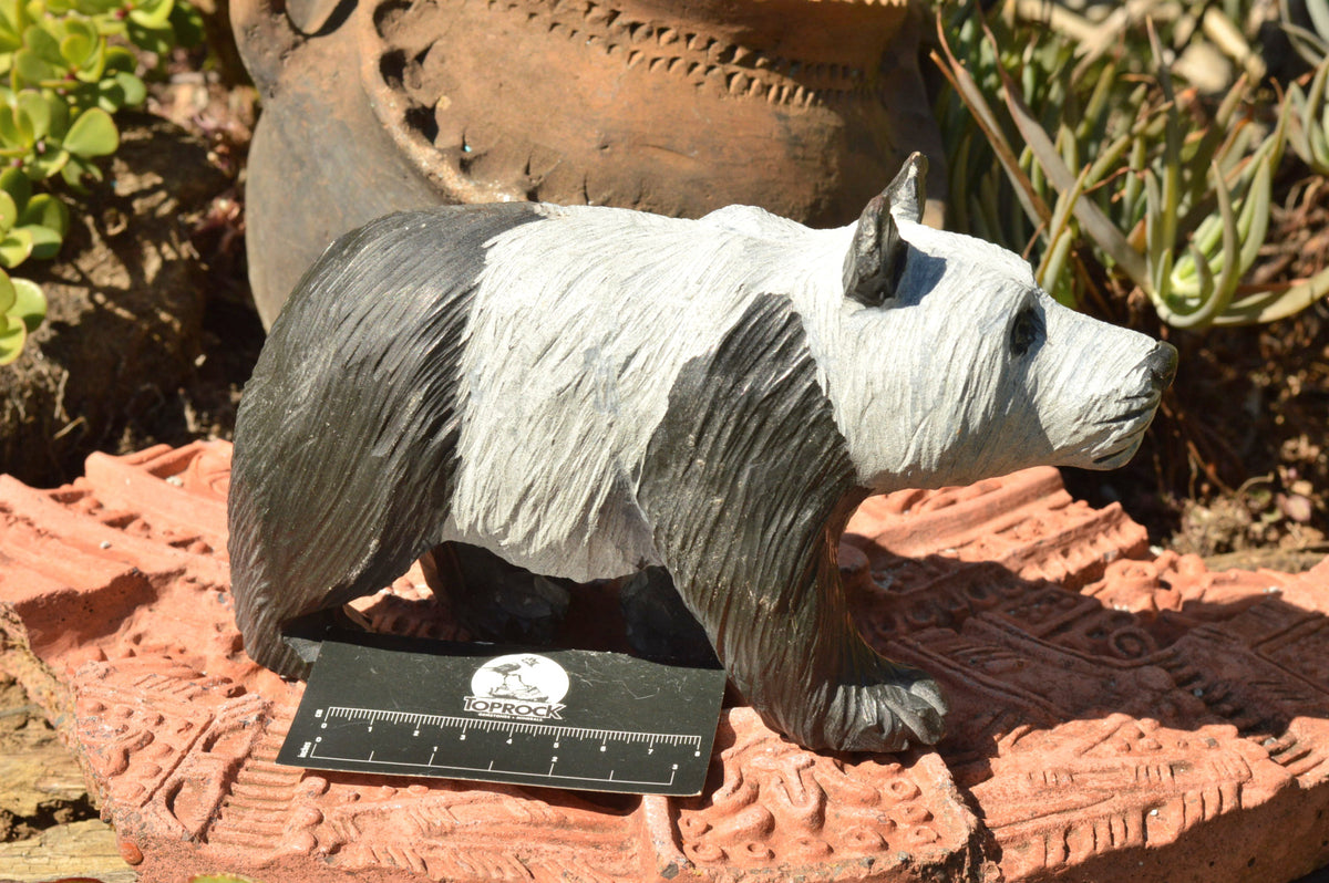Polished Hand Carved Wonder stone Panda Bear (Not Kungfu) x 1 From Zimbabwe - TopRock