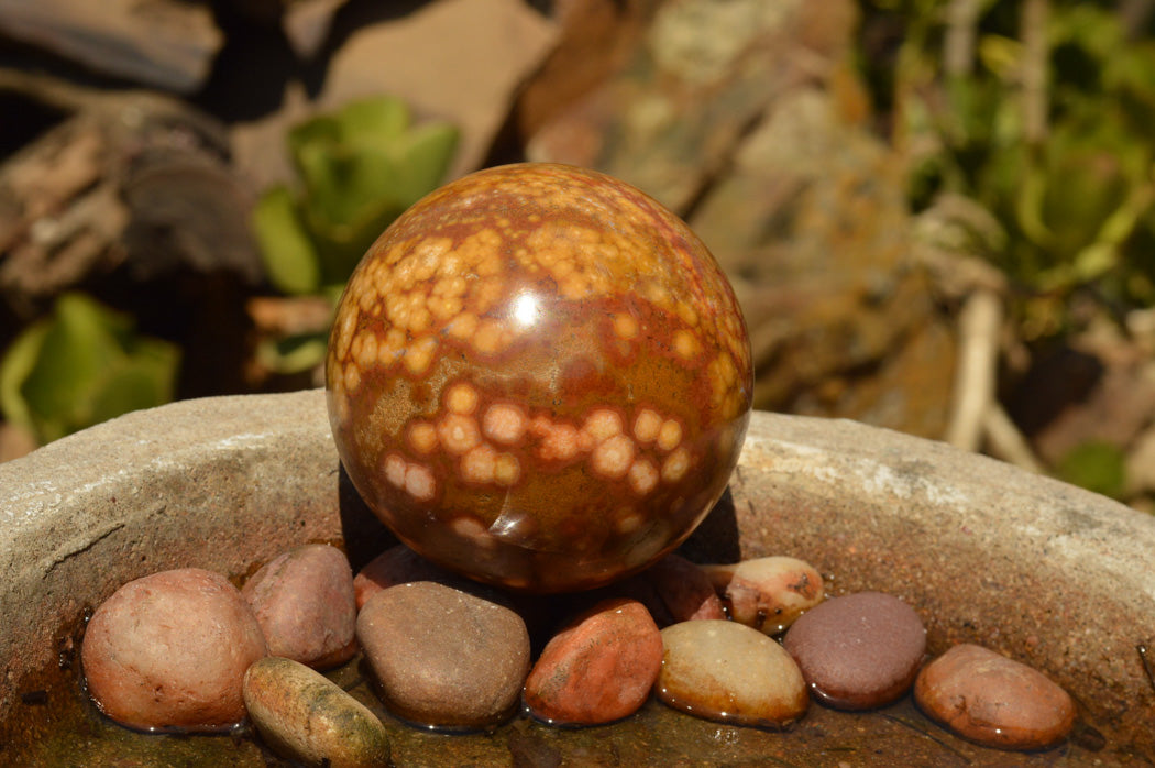 Polished Gorgeous Selection Of Orbicular Ocean Jasper Spheres x 4 From Madagascar - TopRock