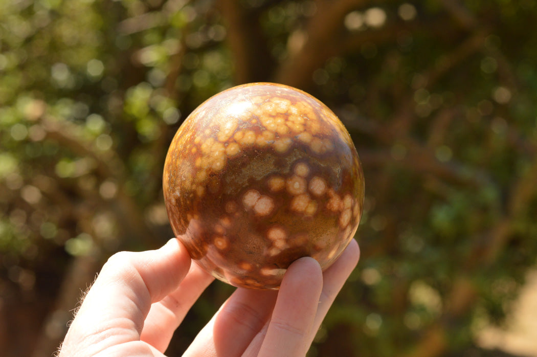 Polished Gorgeous Selection Of Orbicular Ocean Jasper Spheres x 4 From Madagascar - TopRock