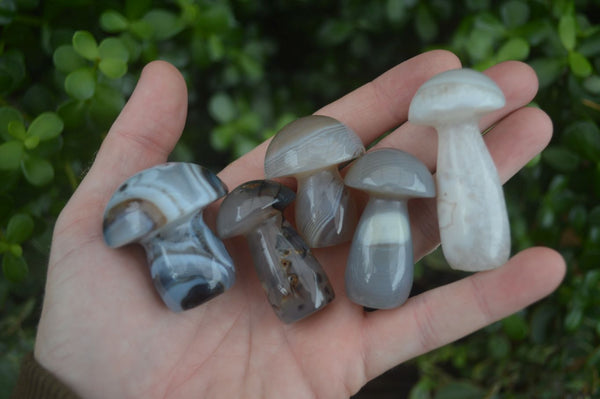 Polished Highly Selected Mini Agate Mushroom Carvings  x 20 From Madagascar - Toprock Gemstones and Minerals 