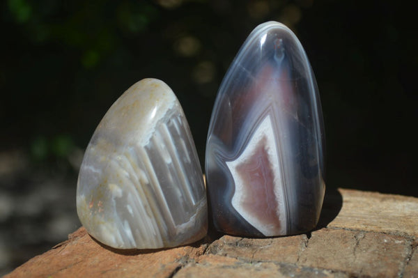 Polished River Agate Standing Free Forms  x 6 From Sashe River, Zimbabwe - Toprock Gemstones and Minerals 