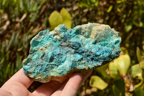 Natural Rough Blue Shattuckite Specimens  x 12 From Namibia - TopRock