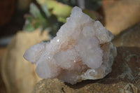 Natural Spirit Amethyst Quartz Clusters x 6 From Boekenhouthoek, South Africa - Toprock Gemstones and Minerals