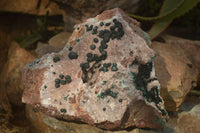Natural Rare Ball Malachite On Drusy Quartz & Dolomite Matrix  x 1 From Kambove, Congo - Toprock Gemstones and Minerals
