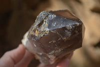 Polished Double Terminated Smokey Quartz Crystals  x 2 From Southern Africa - Toprock Gemstones and Minerals