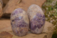 Polished  Dream Amethyst Standing Free Forms x 6 From Madagascar - Toprock Gemstones and Minerals