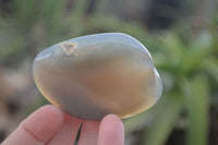 Polished Agate Chalcedony Tumble Stones x 20 From Madagascar - Toprock Gemstones and Minerals