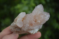 Natural Spirit Amethyst / Ametrine Quartz Clusters  x 12 From Boekenhouthoek, South Africa - Toprock Gemstones and Minerals