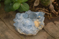 Natural Blue Celestite Crystal Specimens  x 5 From Sakoany, Madagascar - Toprock Gemstones and Minerals