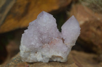 Natural Spirit Amethyst / Ametrine Quartz Clusters  x 12 From Boekenhouthoek, South Africa - Toprock Gemstones and Minerals