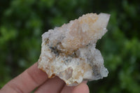 Natural Spirit Amethyst / Ametrine Quartz Clusters  x 12 From Boekenhouthoek, South Africa - Toprock Gemstones and Minerals