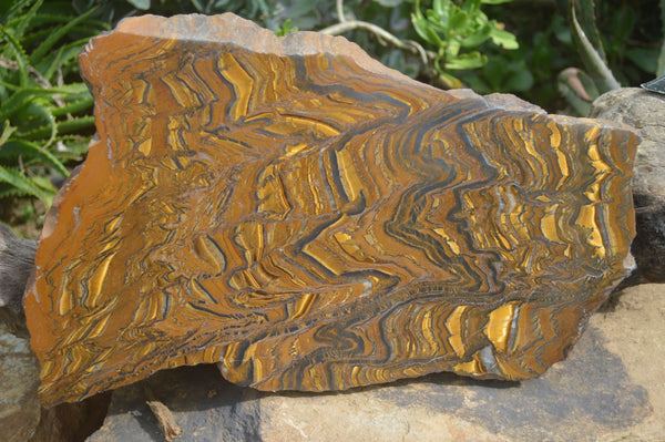 Polished Exquisite 1980's Thick Golden Tigers Eye Slab  x 1 From Northern Cape, South Africa - Toprock Gemstones and Minerals 
