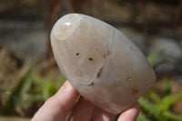 Polished Mixed Agate Standing Free Forms x 6 From Madagascar - Toprock Gemstones and Minerals