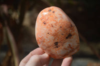 Polished Carnelian Agate Standing Free Forms  x 6 From Madagascar - Toprock Gemstones and Minerals