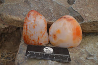 Polished Carnelian Agate Standing Free Forms  x 6 From Madagascar - Toprock Gemstones and Minerals